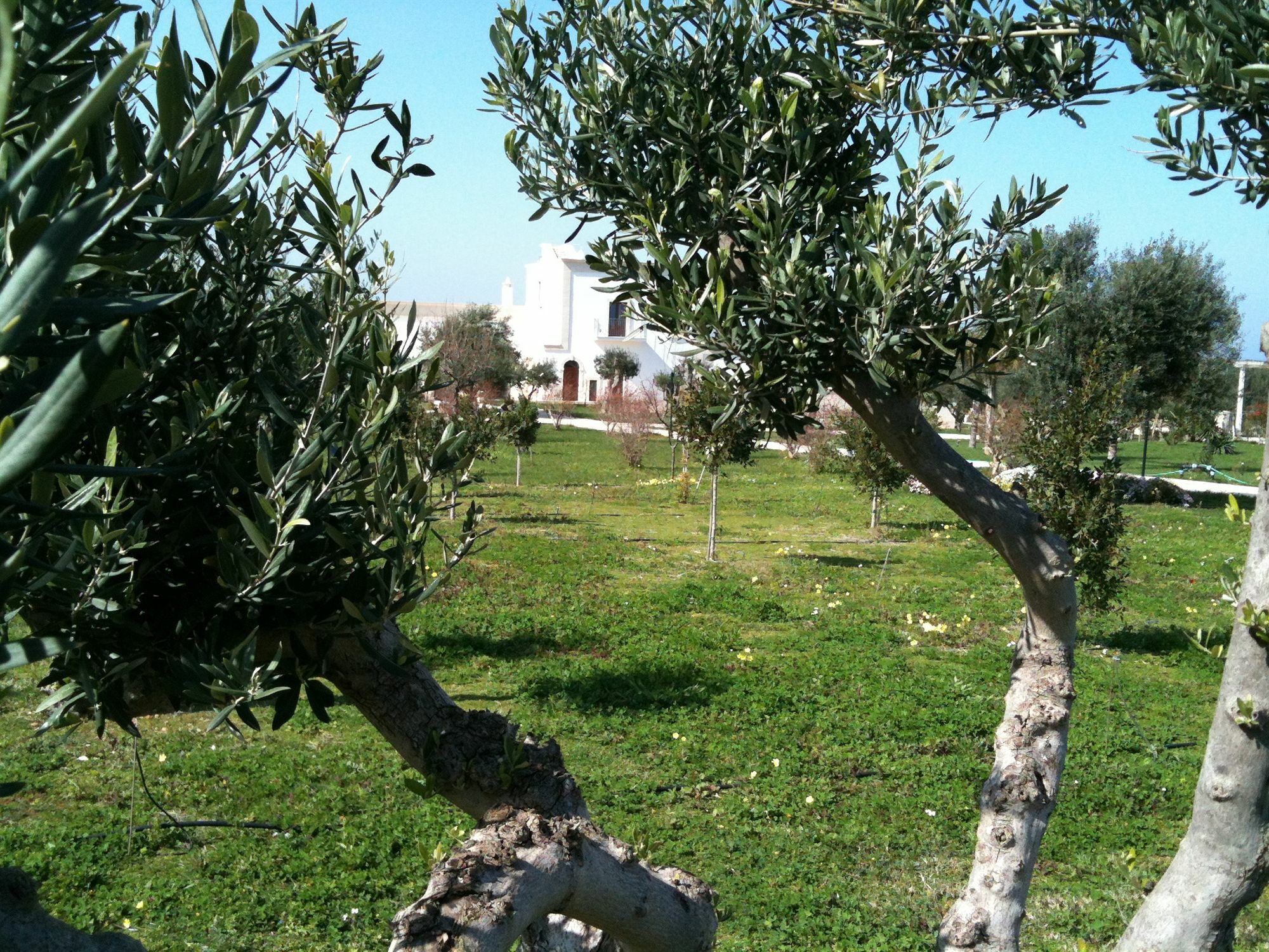 Casale Del Murgese Country Resort Savelletri Eksteriør bilde